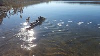 IMG_0188.JPG