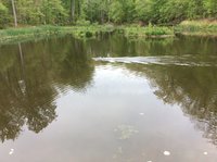 IMG_0104.JPG