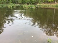 IMG_0106.JPG