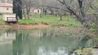0319171131_resized_2.jpg