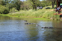 IMG_8925.JPG
