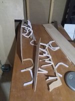 IMG_20170804_175421.jpg