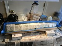 E8264748-FE06-447A-B5D5-780E1B454306.jpeg