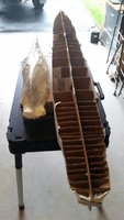 20180618_114824.jpg