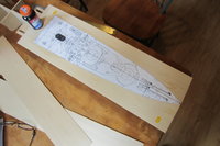 IMG_3200.JPG