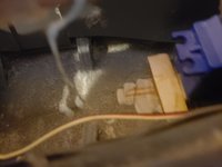 20180911_081327.jpg