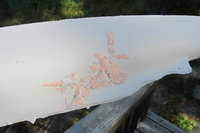 IMG_3291.JPG