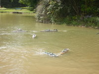DSCN4278.JPG