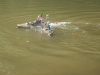 DSCN4331.JPG