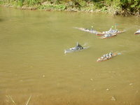 DSCN4377.JPG
