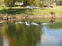 IMG_0284.JPG