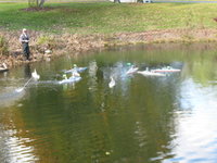 IMG_0282.JPG