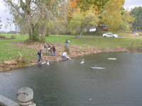 IMG_0272.JPG