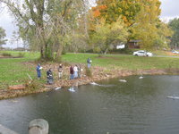 IMG_0271.JPG