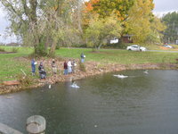 IMG_0270.JPG