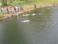IMG_0263.JPG