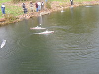 IMG_0261.JPG