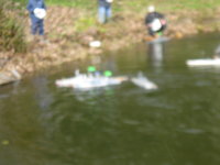 IMG_0260.JPG