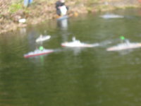 IMG_0254.JPG