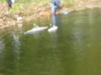 IMG_0252.JPG