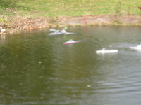 IMG_0245.JPG