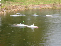 IMG_0239.JPG