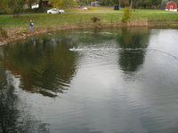 IMG_0213.JPG