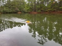 20181105_142002[1].jpg