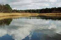 pond.jpg