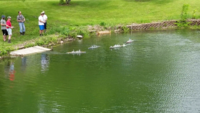 vlcsnap-2019-05-26-23h28m16s890.png