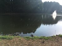 5F8BF9F5-A866-4ED6-8D82-5C2EE8D52C2A.jpeg