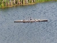 20190720_140510.jpg