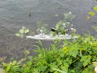 20190720_153509.jpg