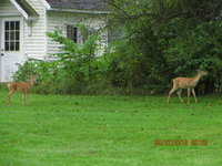 IMG_0005.JPG