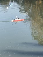 762C19FD-42B2-4720-8B4E-A3EE8F006697.jpeg