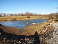 pond 1.JPG