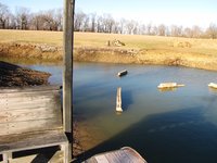 Pond 2.JPG