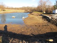 Pond 3.JPG