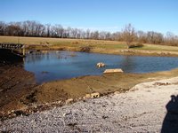 Pond 4.JPG