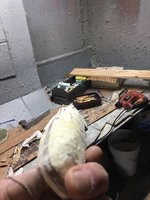 06785917-DBFA-47F0-83E6-9E3F5D4320B7.jpeg