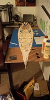 IMG_20200621_182307.jpg