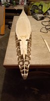 IMG_20200701_204349.jpg