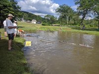 IMG_20200714_165109.jpg