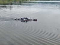 20200714_101702.jpg