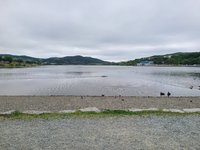 20200714_104257.jpg