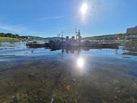 20200722_081538.jpg