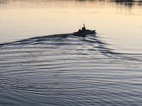 IMG_0459.JPG