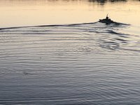 IMG_0460.JPG