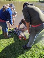 IMG_20200919_164551.jpg