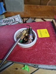 PXL_20210130_213808715.jpg